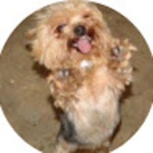 Meet your Posher, Phillip